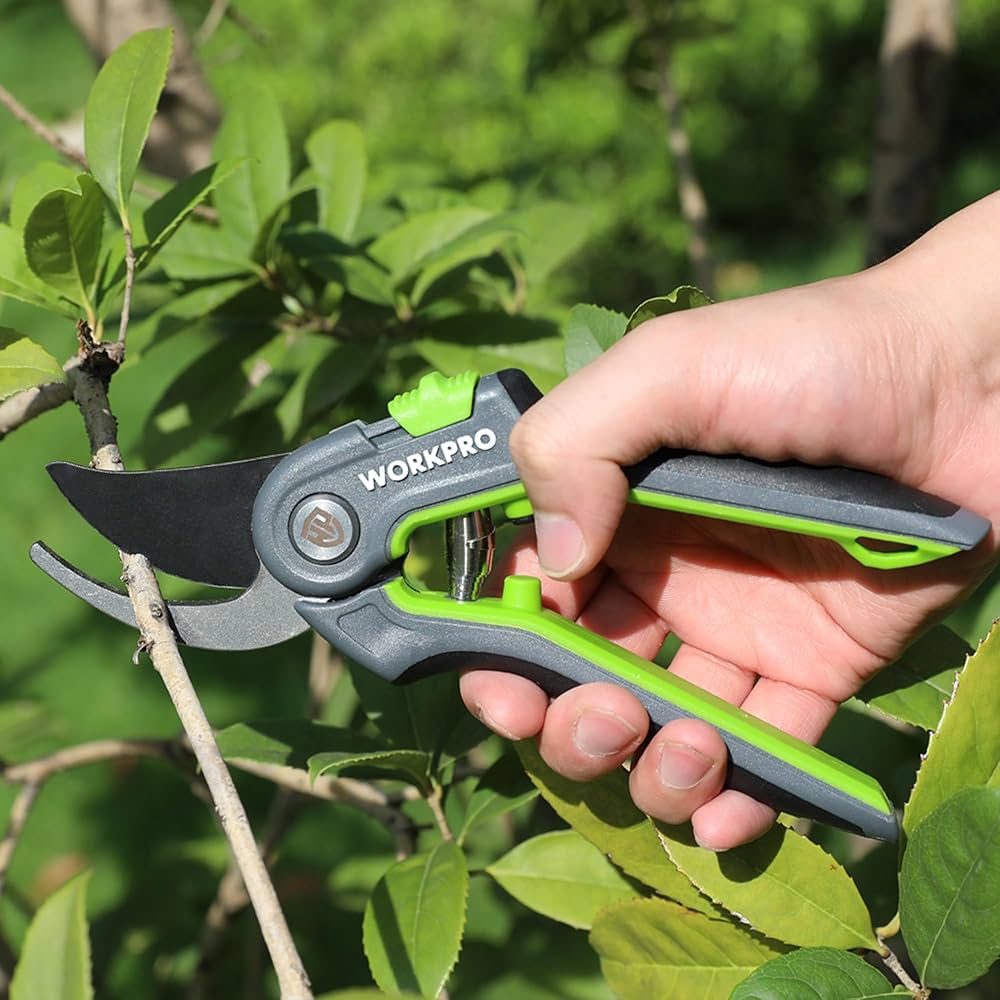 社　ミニ鋏　5インチ Amazon.co.jp: Tim Holtz はさみ&切り抜き - Kushgrip ノン